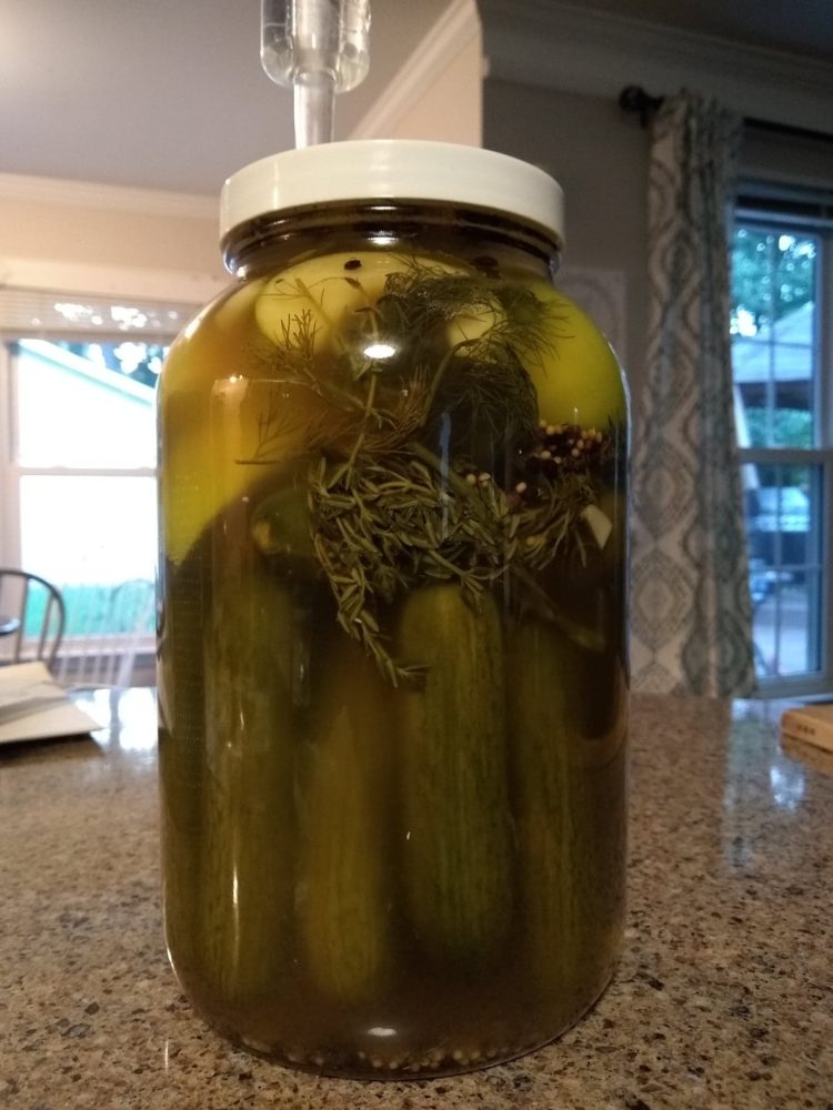 “It’s Apple Thyme!” Pickle Recipe - Insane in the Brine