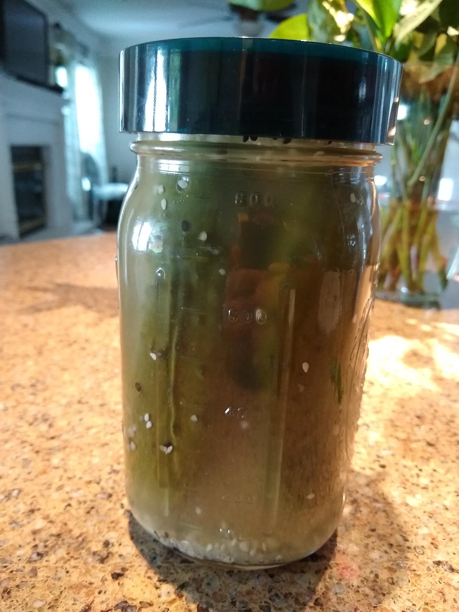 Trader Joe's Seasoning in a Pickle: 4 Easy & Delicious Recipes