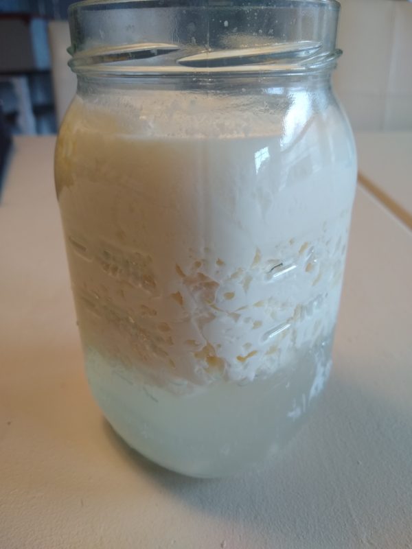 Milk Kefir (Overview & Recipes) - Insane in the Brine