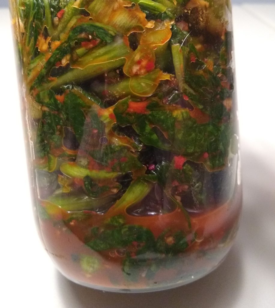 Fermented Mustard Greens - Amy Le's Kitchen