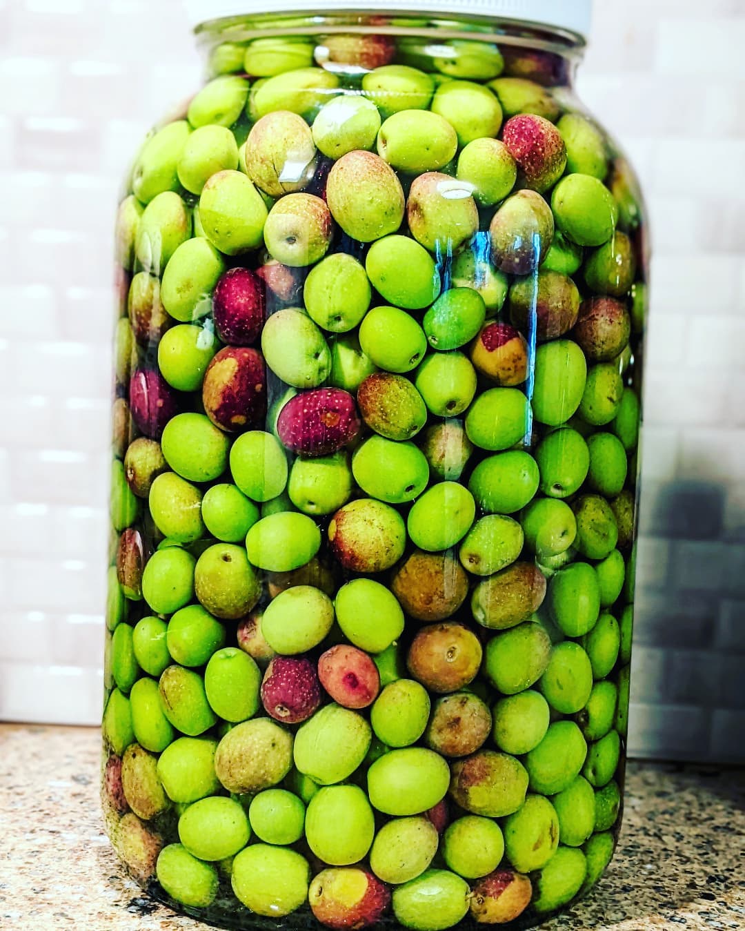 🫒Just managed to nab these 5 lbs of beautiful raw California olives at the tail end of the season. Let's revisit this one with lots of details in about 6 months, in advance of the next harvest!